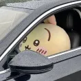 member face