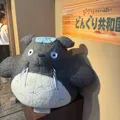 member face