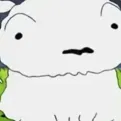 member face