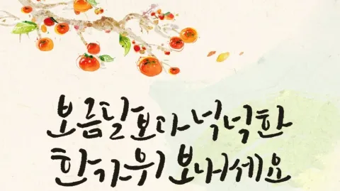 정모 대표 이미지