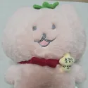 member face