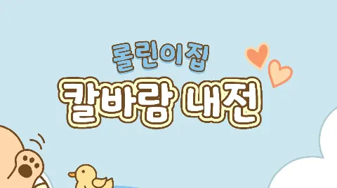 정모 대표 이미지