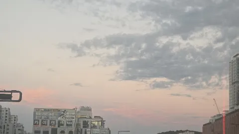 정모 대표 이미지