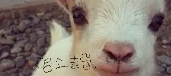 모임 대표 이미지