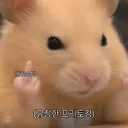 member face