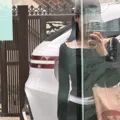 member face