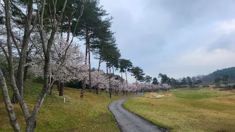정모 대표 이미지