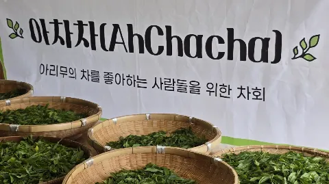 정모 대표 이미지