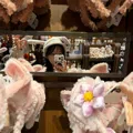 member face