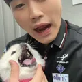 member face