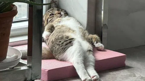 정모 대표 이미지