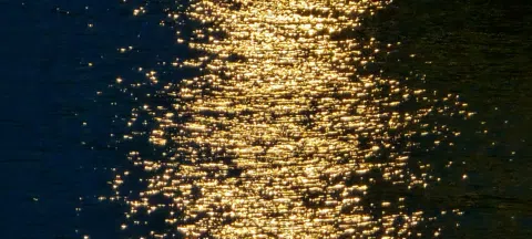 모임 대표 이미지