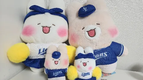 정모 대표 이미지