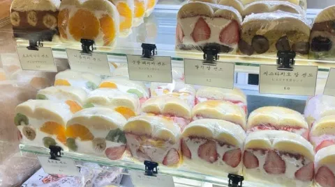 정모 대표 이미지