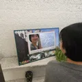 member face