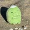 member face