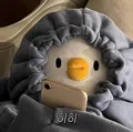 member face