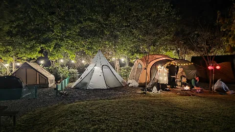 정모 대표 이미지