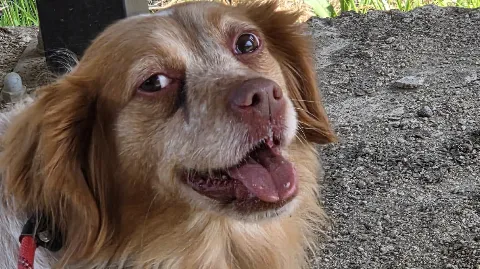 정모 대표 이미지