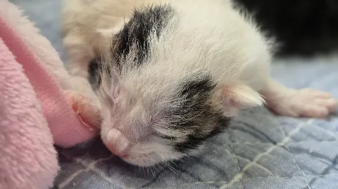 정모 대표 이미지