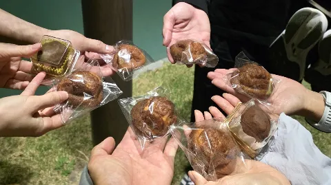 정모 대표 이미지