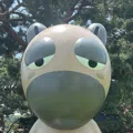 member face