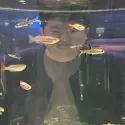 member face
