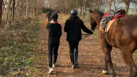 정모 대표 이미지