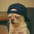 member face