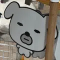 member face