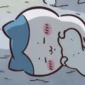 member face