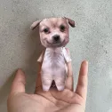 member face