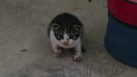 정모 대표 이미지