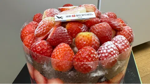 정모 대표 이미지