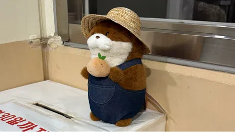 정모 대표 이미지