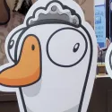 member face