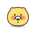 member face