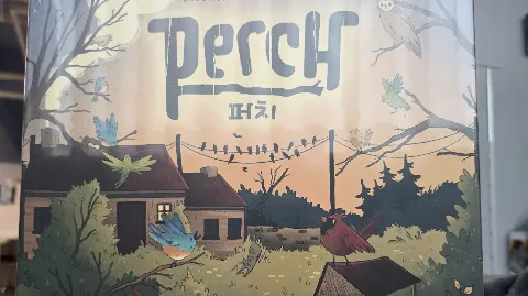 정모 대표 이미지