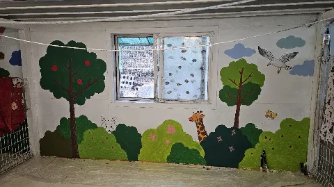 정모 대표 이미지