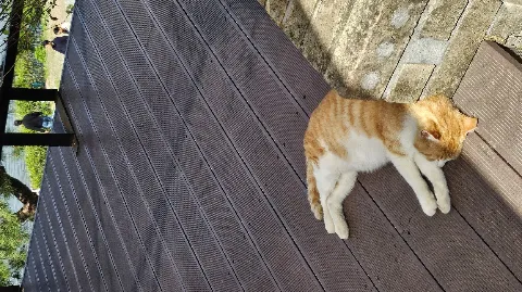 정모 대표 이미지