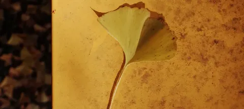 모임 대표 이미지