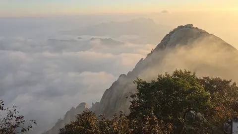정모 대표 이미지