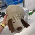 member face