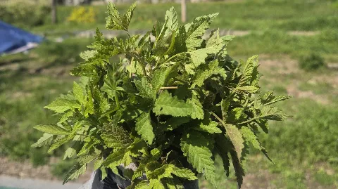 정모 대표 이미지