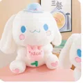 member face