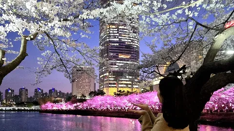 정모 대표 이미지