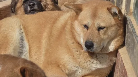 정모 대표 이미지