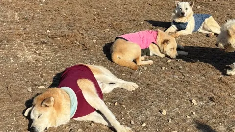 정모 대표 이미지