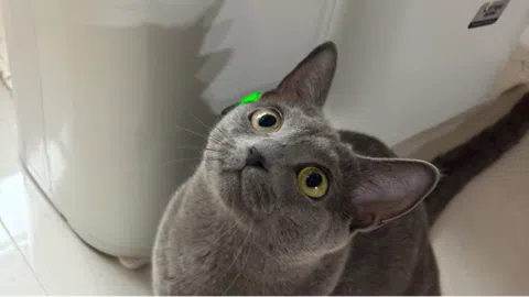정모 대표 이미지