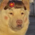 member face
